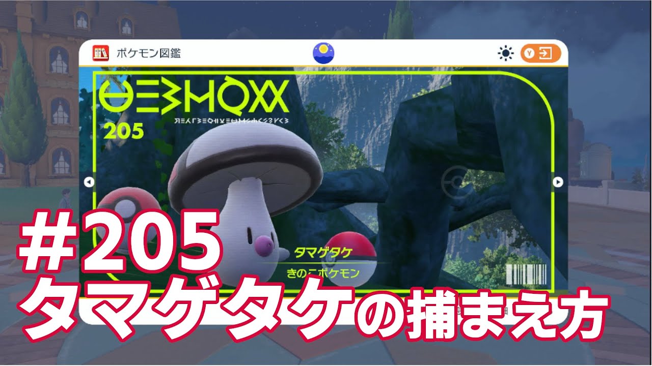 タマゲタケを探している方に見てほしい動画