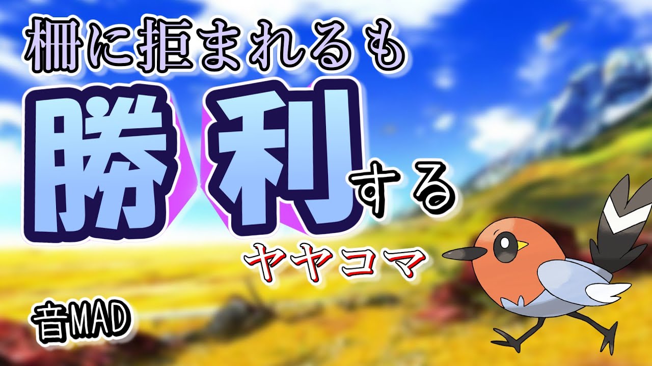 柵に拒まれるも勝利するヤヤコマ【音MAD】【ポケモンSV】【MH4】