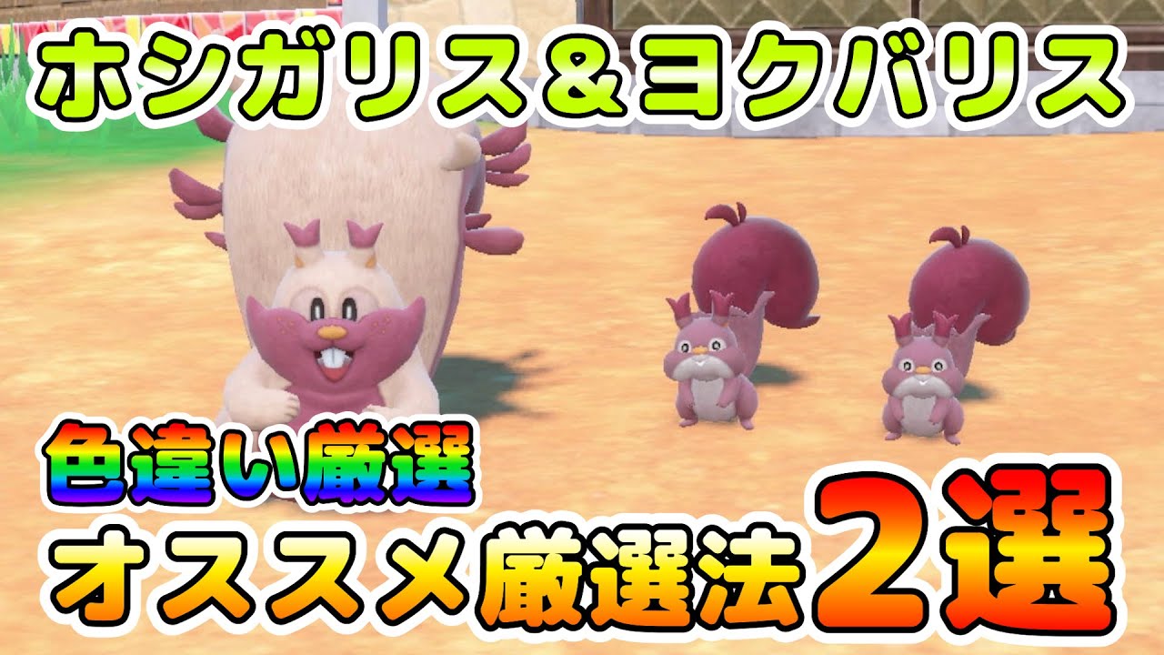 【色厳選】ホシガリス＆ヨクバリスのオススメ色厳選場所２選！効率良く厳選する方法はこれ！！【ポケモンSV】