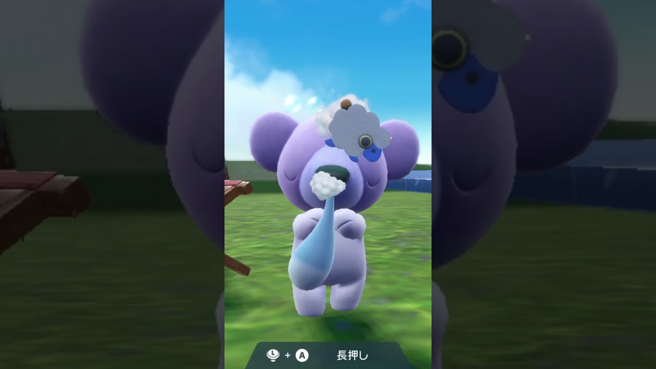 #アイドル#Pokemon#クマシュン