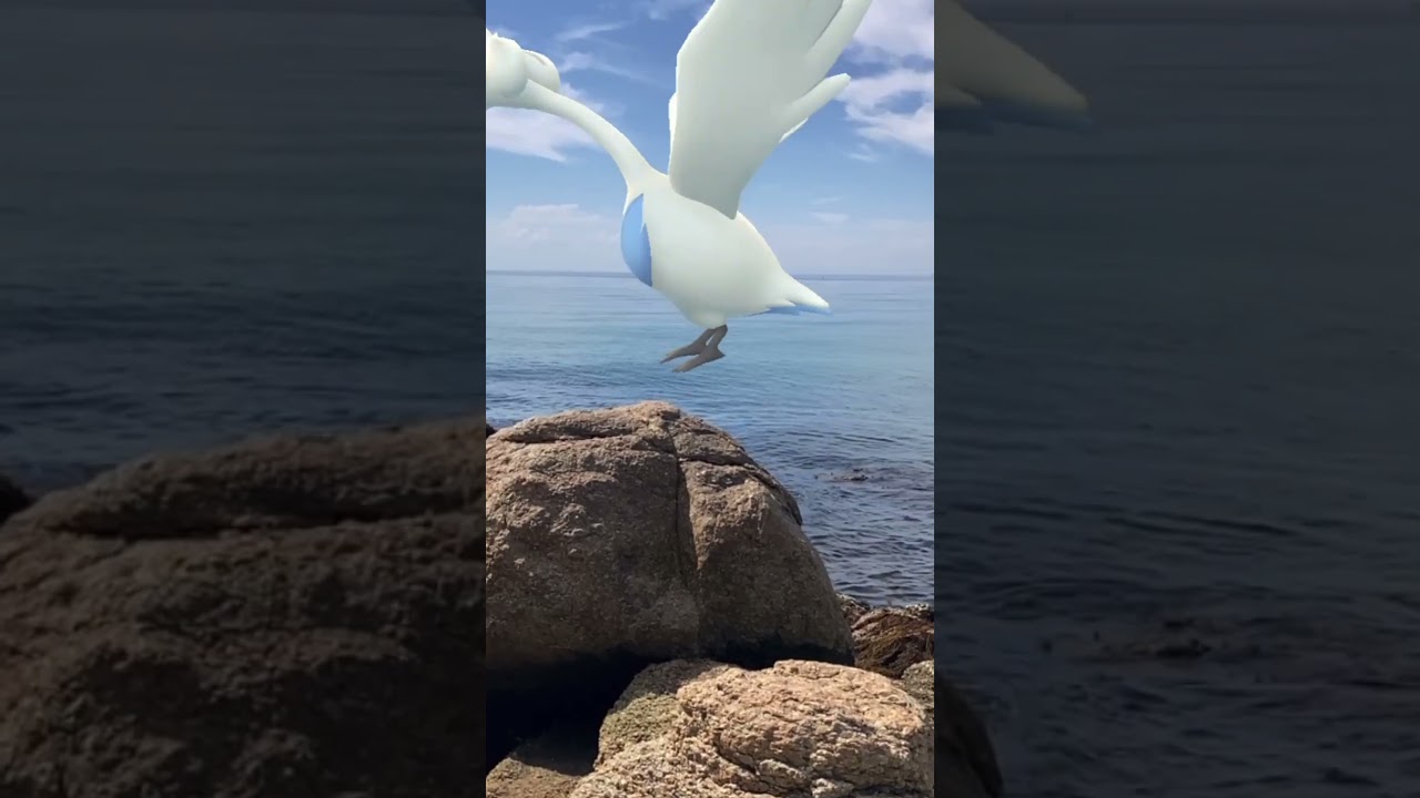 コアルヒー｜Ducklett｜スワンナ｜Swanna【ポケモンGO】PoKeMoN GO AR｜AR動画｜NianticAR｜GOsnapshot｜淡路島