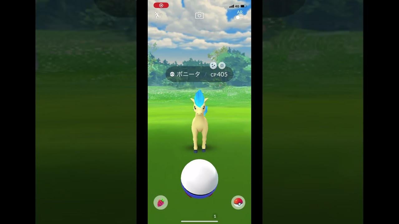 ポニータ色違い#ポケモン