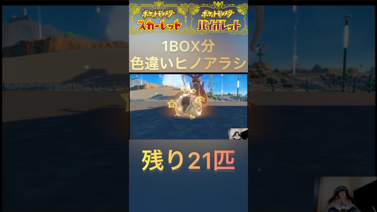 【ポケモンSV】1BOX分色違いヒノアラシ9匹目✨ #ポケモンsv #shorts