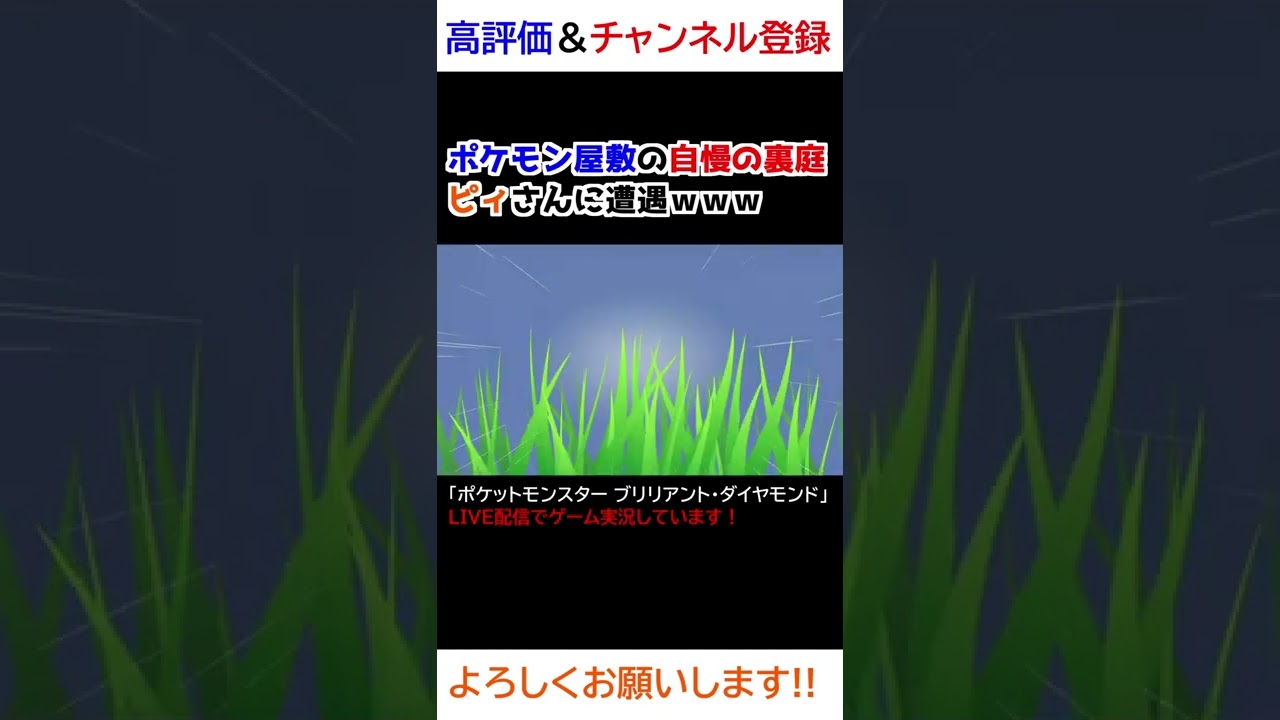 ポケモン屋敷の自慢の裏庭でピィさんに遭遇ｗｗｗ【ダイパリメイク】