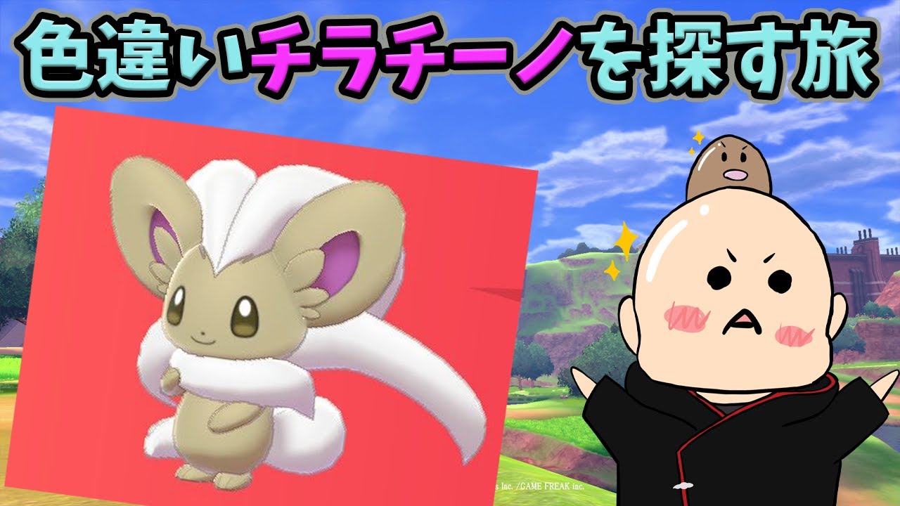 【ポケモン剣盾】色違いチラチーノを探す旅→配布会
