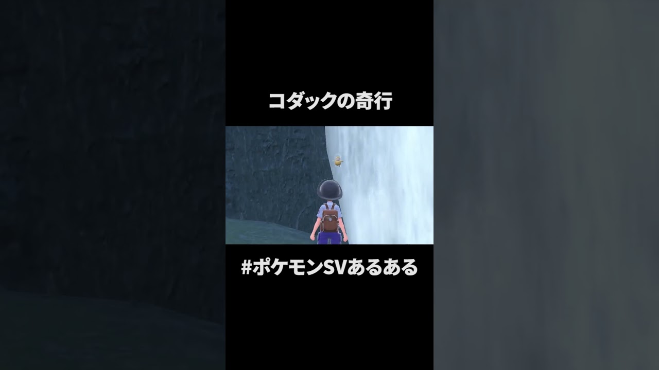 コダック　#ポケモン #ポケモンsv #shorts