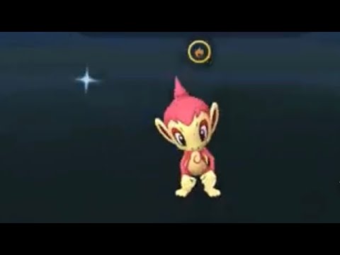 ポケモンGO ヒコザル　色違い！　やったー！Pokémon GO