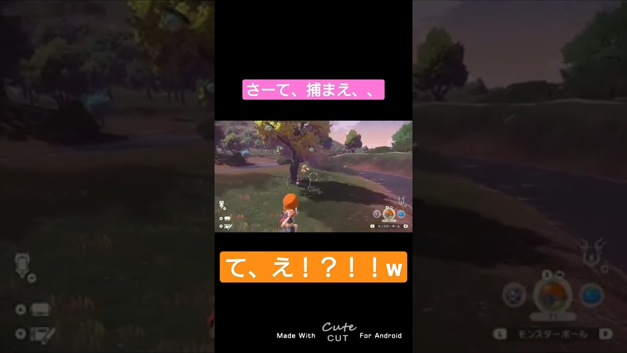 え、ミミロルさん！？w#shorts#pokemonlegends #ポケモンアルセウス