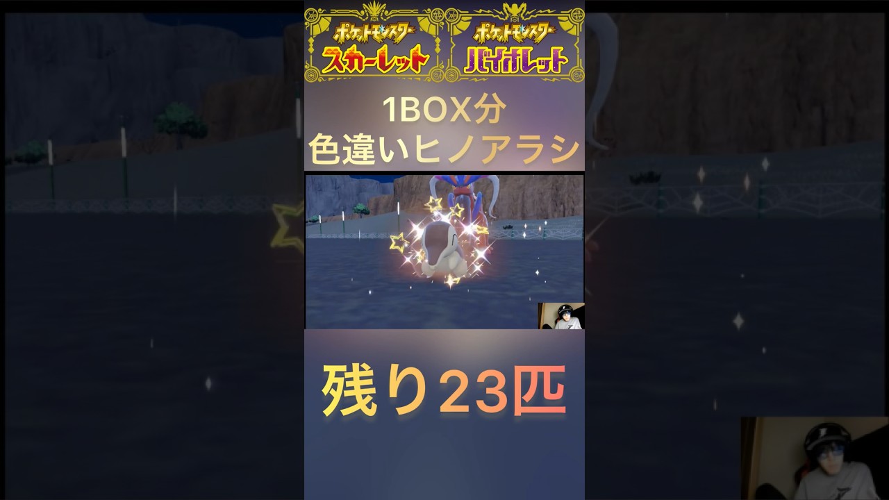 【ポケモンSV】色違いヒノアラシ1BOX分チャレンジ7匹目✨ #ポケモンsv #孵化厳選 #ヒノアラシ #色違い #色違いに感謝 #色違いポケモン #ポケットモンスター #色違い厳選