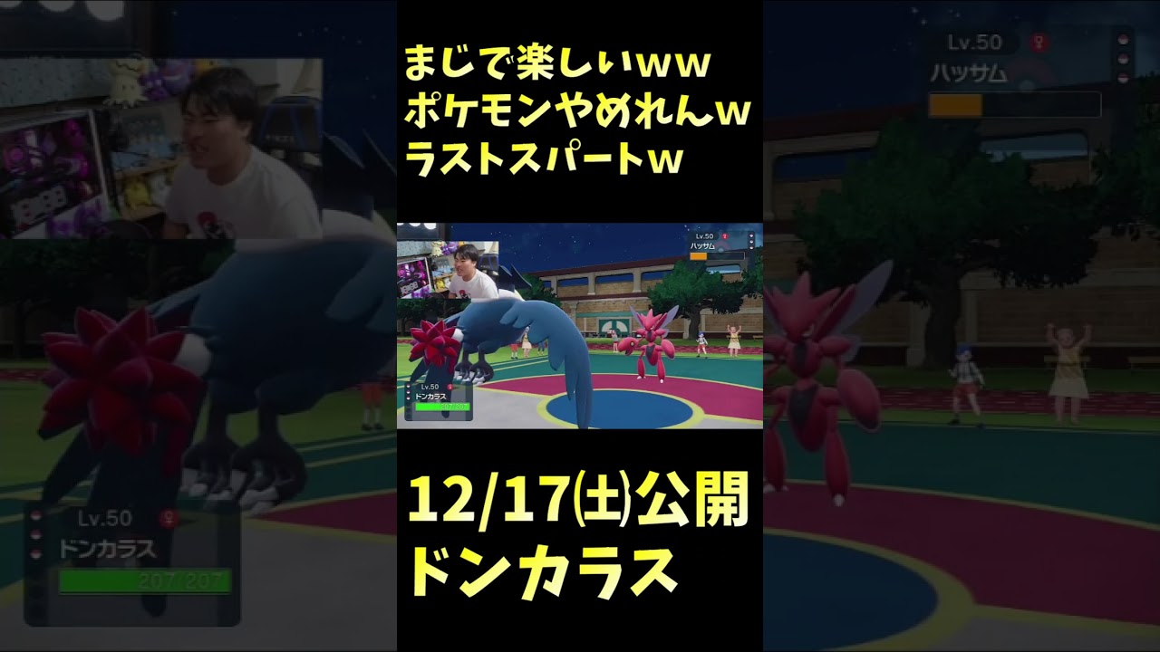 ドンカラス#shorts