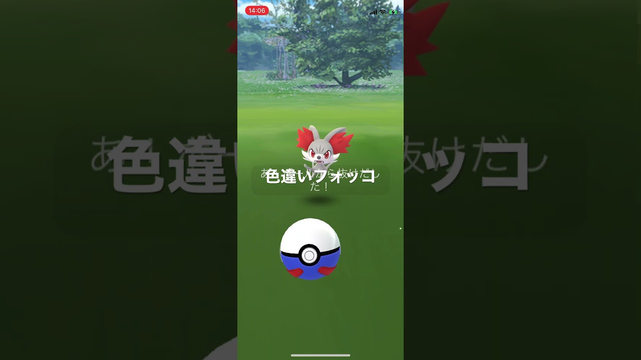 ポケモンGO 色違いフォッコ出現！ #pokémon #ポケットモンスター #pokmongo