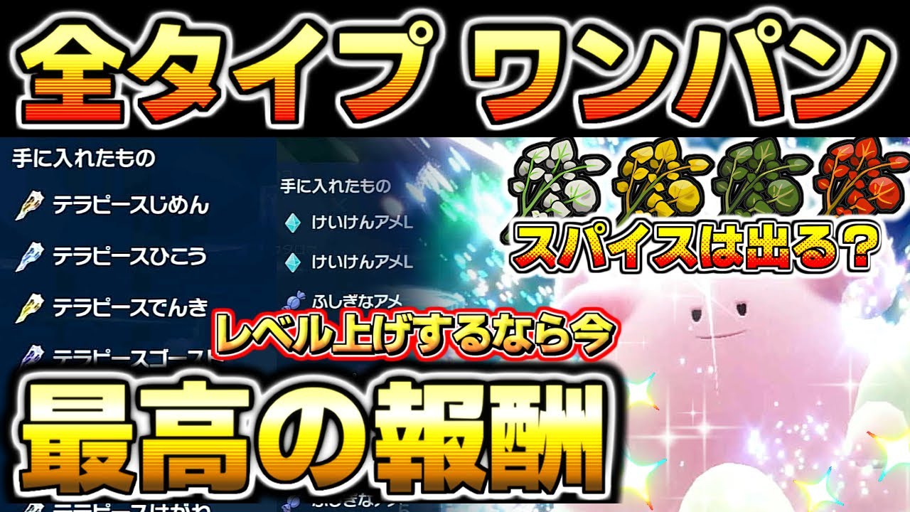【ポケモンsv ハピナスレイド対策】 ワンパン高速周回 テラピース レベル上げ 経験値稼ぎに最高効率 ソロ コライドン リングマ マリルリ テツノカイナ 配布 スカーレットバイオレット スカバイ
