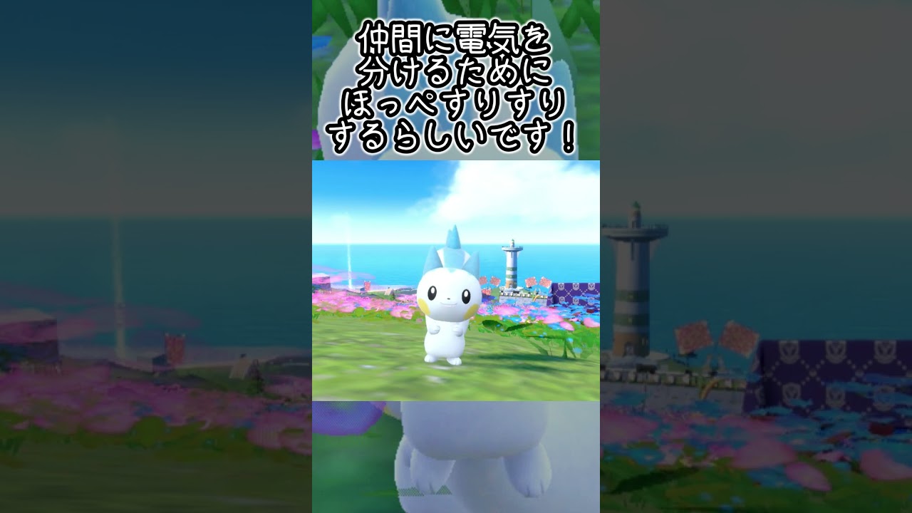 【疲れた人向け】パチリス6匹とピクニック【ポケモンSV】#Shorts