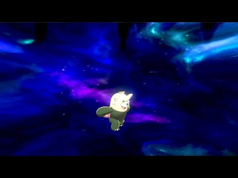 キテルグマのガリョウテンセイ【ポケモンSWSH】
