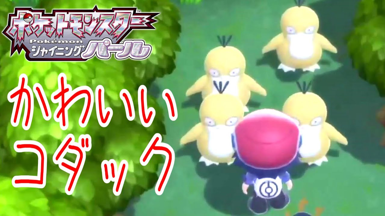 【ポケモンダイパリメイク】１度しか見られないかわいいコダックの動き#shorts