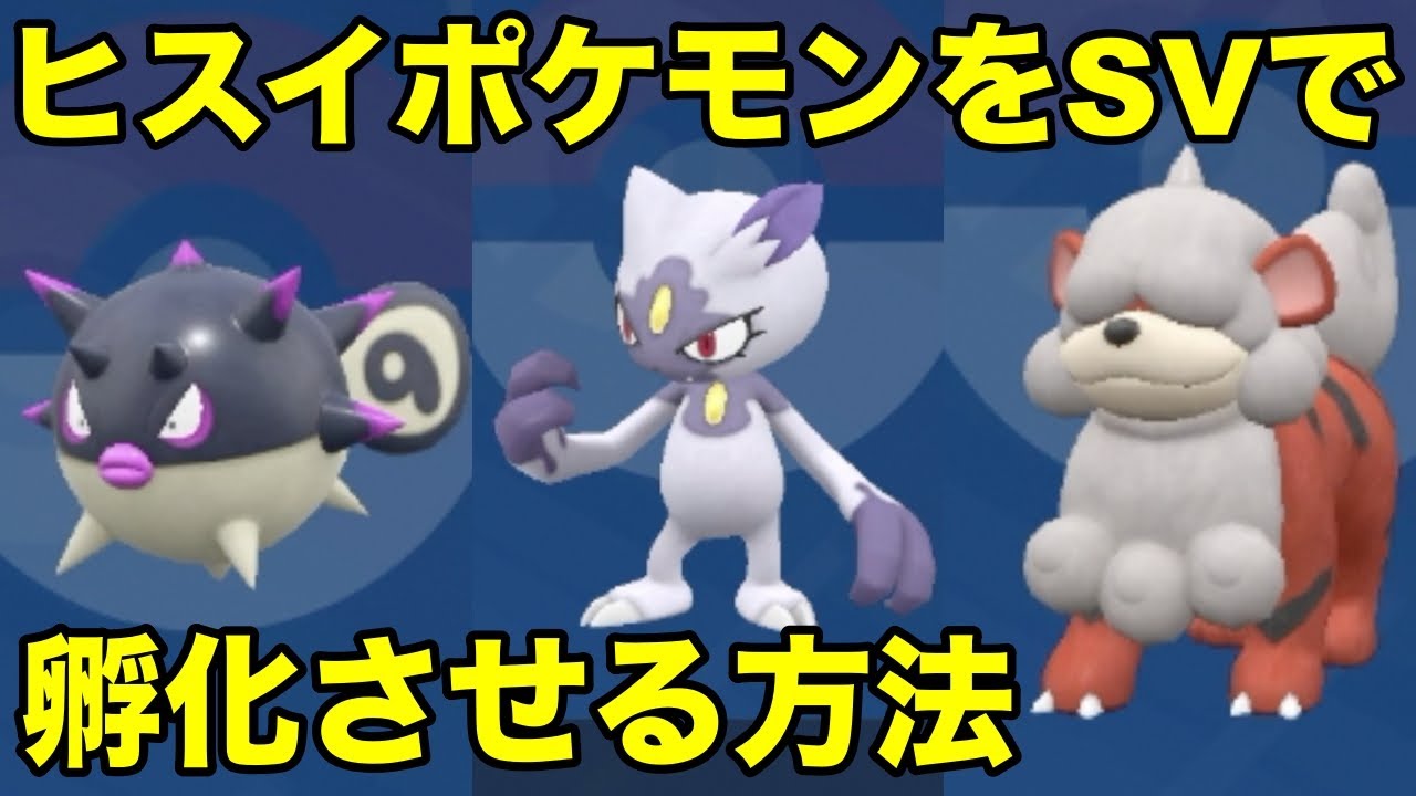 【ポケモンSV】ヒスイハリーセン、ニューラ、ガーディをSVで孵化させる方法※通常だと生まれません