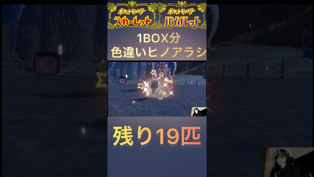 【ポケモンSV】色違いヒノアラシ1BOX分チャレンジ11匹目✨ #ポケモンsv #shorts