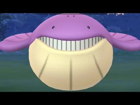 [포고] 야생 이로치 고래왕자 잡음!!