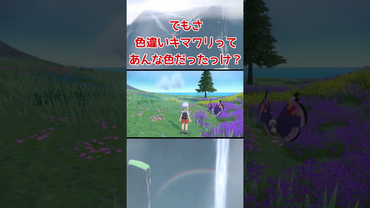 遂に来た！？色違いキマワリ #shorts