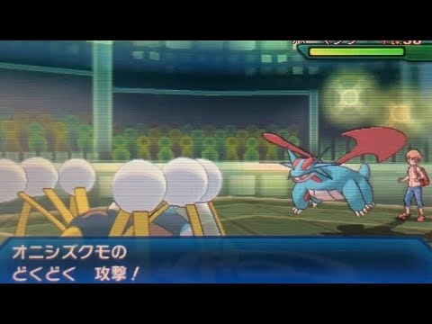 【USUMフリーバトル】メガボーマンダ包囲網