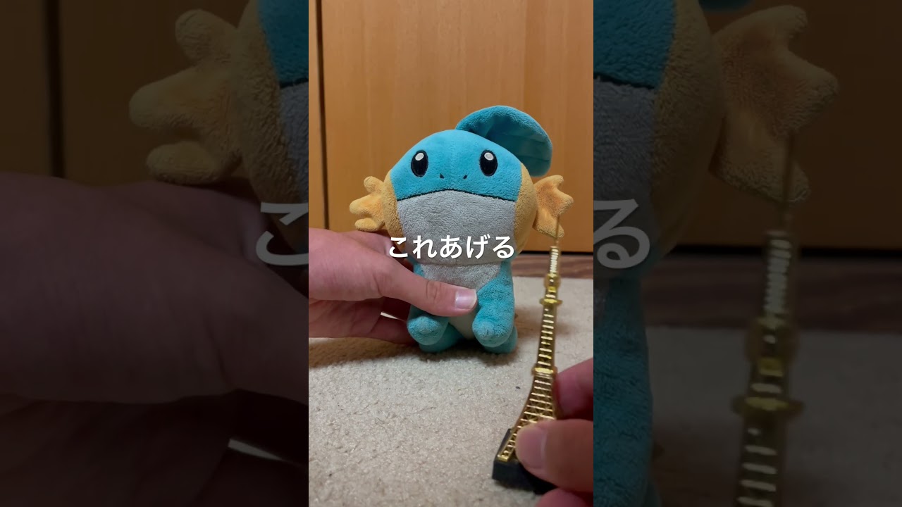 ミズゴロウにお土産あげた#shorts #ミズゴロウ