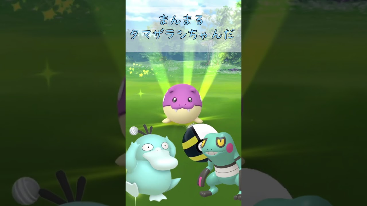 今日の色違い！#77 タマザラシまたザラシ #ポケモンgo #ポケgo #色違い #pokemon