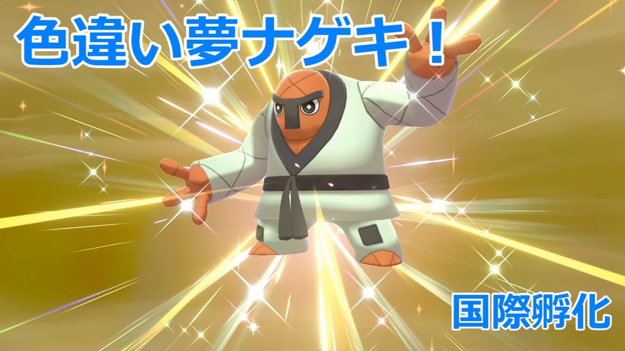 【ポケモン剣盾】国際孵化 #004 ナゲキ 色違い【国際孵化】