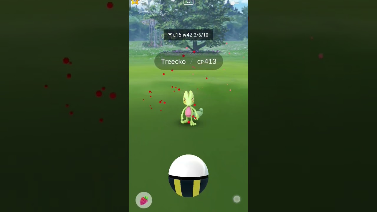 Catching Treecko In #pokemongo