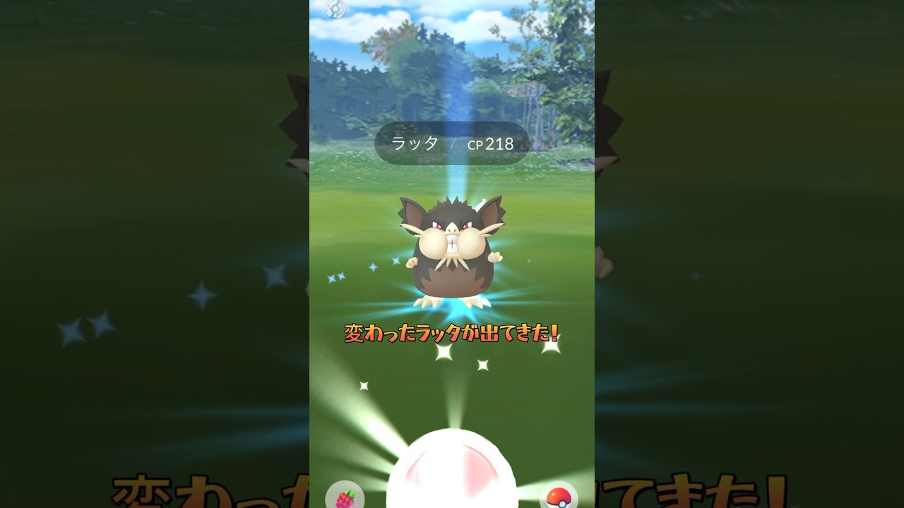 【変わったラッタ？！】#ポケモンgo #ポケモン #pokémon #pokémongo #ゲーム実況 #shorts #youtubeshorts #games #おもしろ動画 #アプリ #スマホ