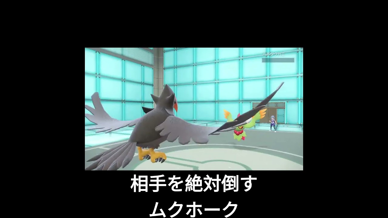 絶対相手を倒すムクホーク#ポケモンsv