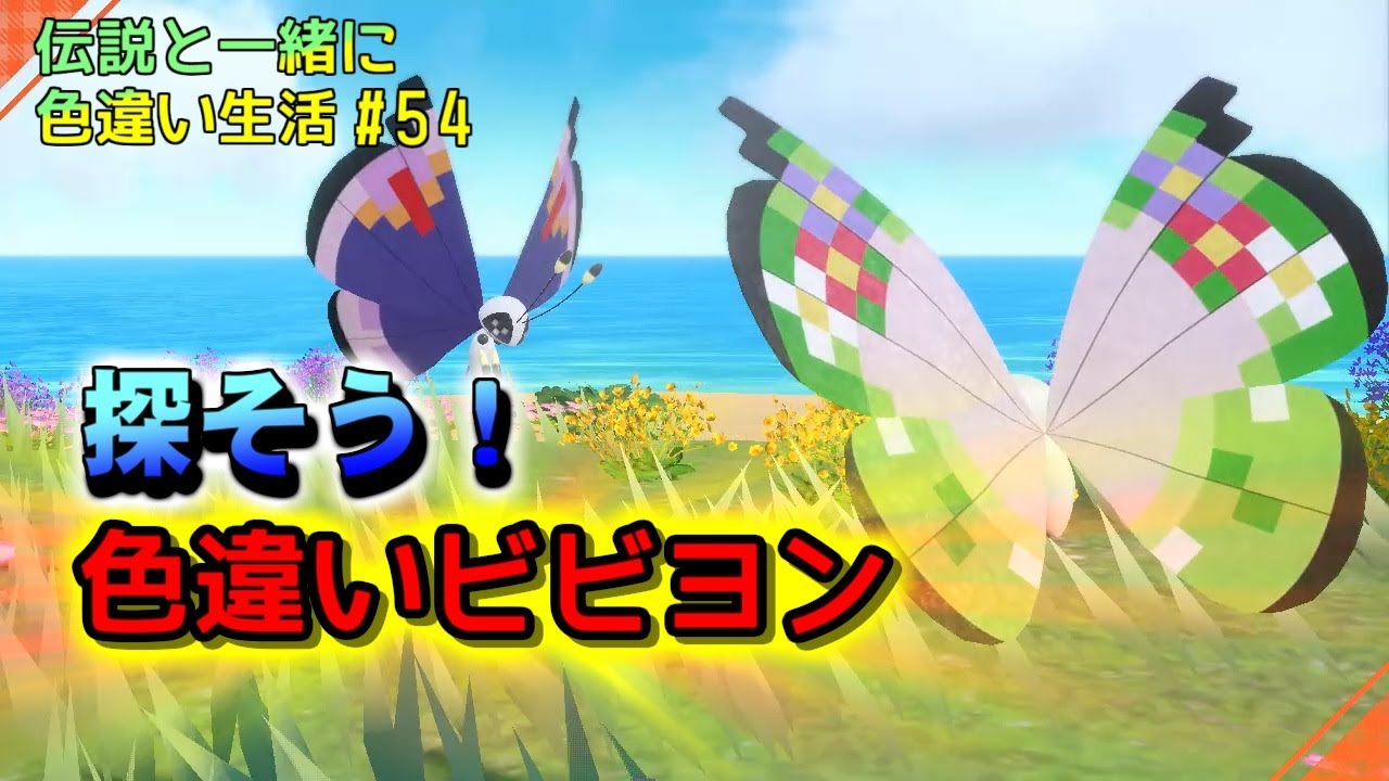 柄違いのビビヨンの色違いも探しますよー！【伝説と一緒に色違い生活＃54】