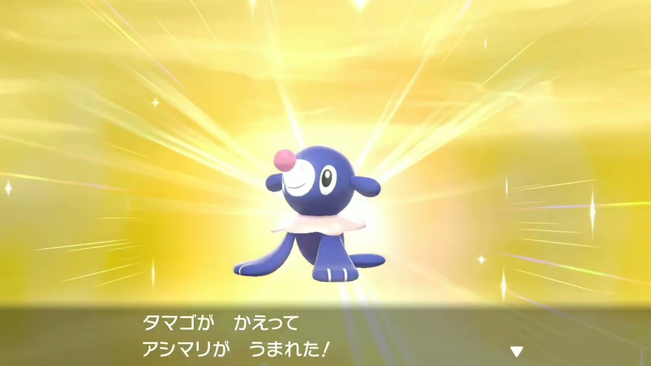 色違いアシマリ進化【剣盾Version】アシマリ、オシャマリ、アシレーヌ