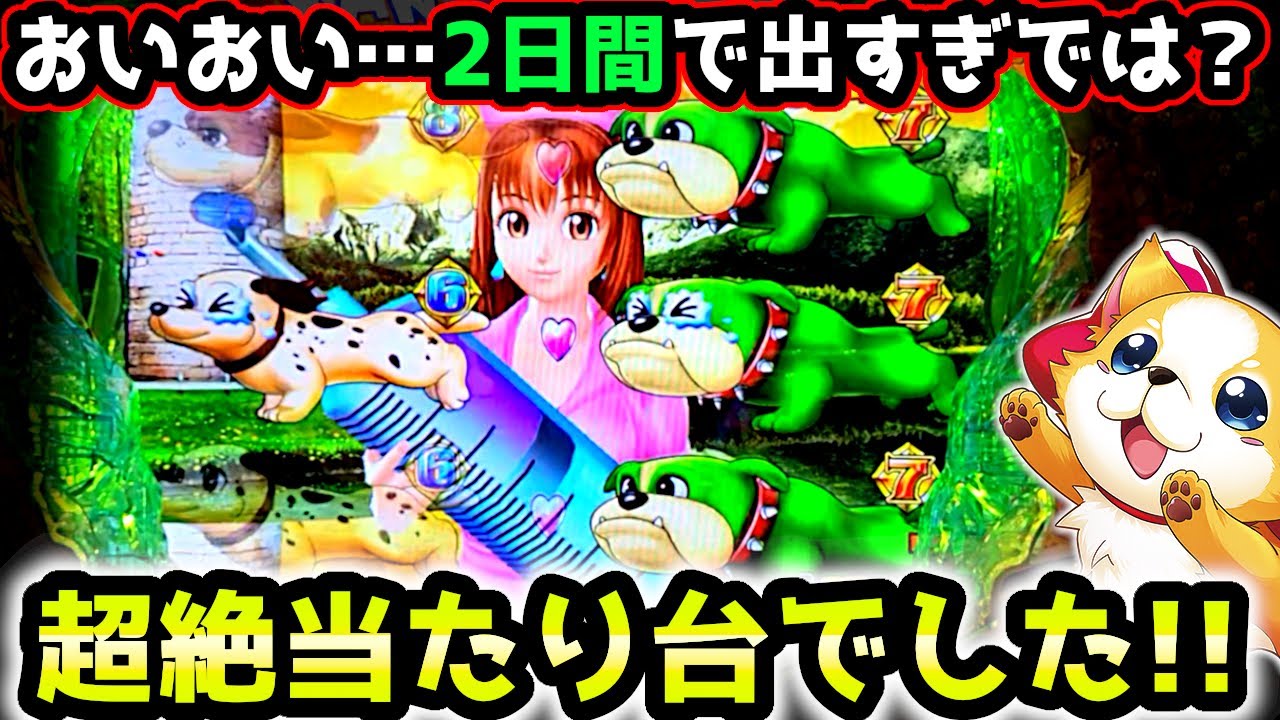 "ヤバすぎる台"これがわんパラのチカラ【PAわんわんパラダイスV】《ぱちりす日記》甘デジ 海物語 ギンパラ わんパラ