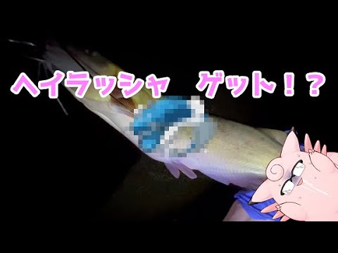 【02】狙え！夜の湖のおおなまず！