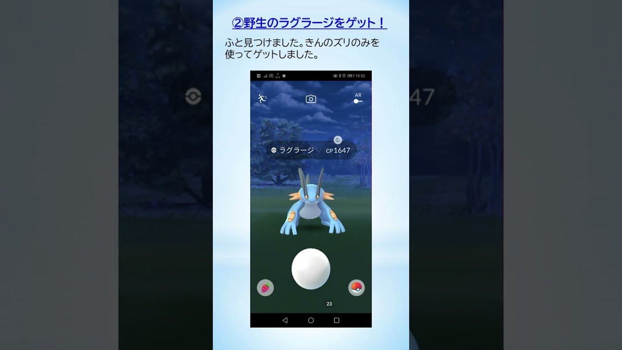 【日々のポケ活short】近所のお気楽ジム、野生ラグラージをゲット、ルート機能とジガルデが新たに実装 #ポケモンGo #pokemongo #ゲーム実況 #ルート機能 #ジガルデ #ラグラージ