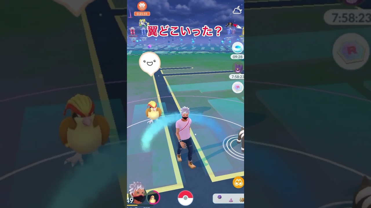 バグってピジョットの翼が無くなった【ポケモンGO】