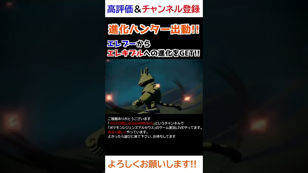 エレブー→エレキブル進化【Pokémon LEGENDS アルセウス】【進化ハンター】