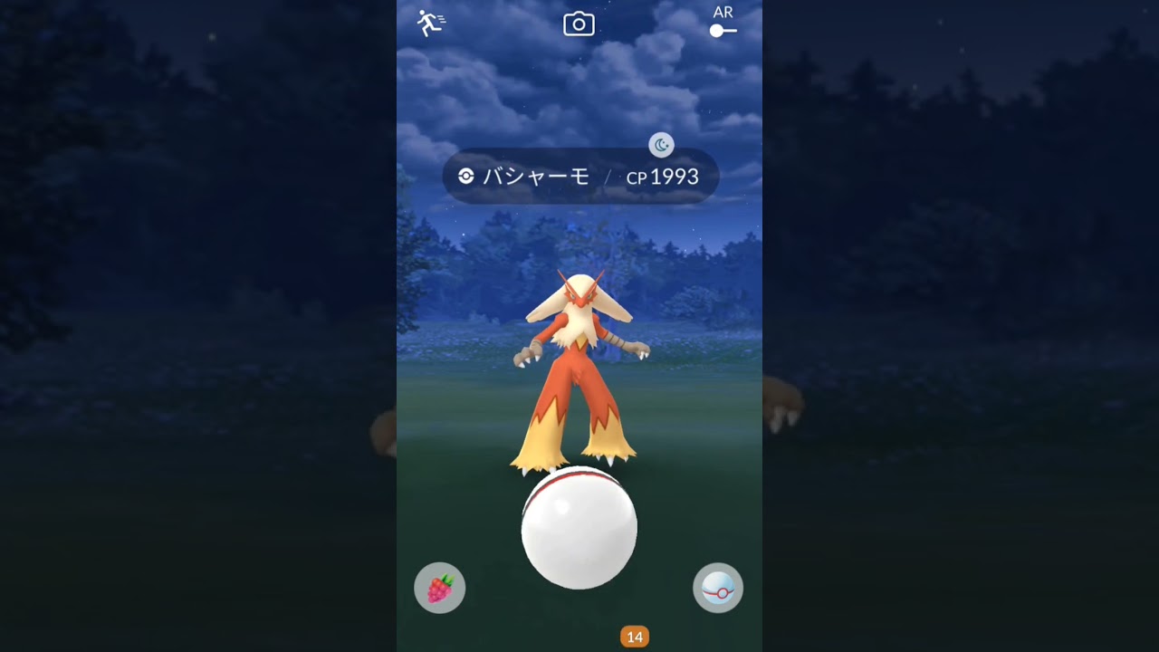 【ポケモンGO】メガバシャーモを２人で討伐！