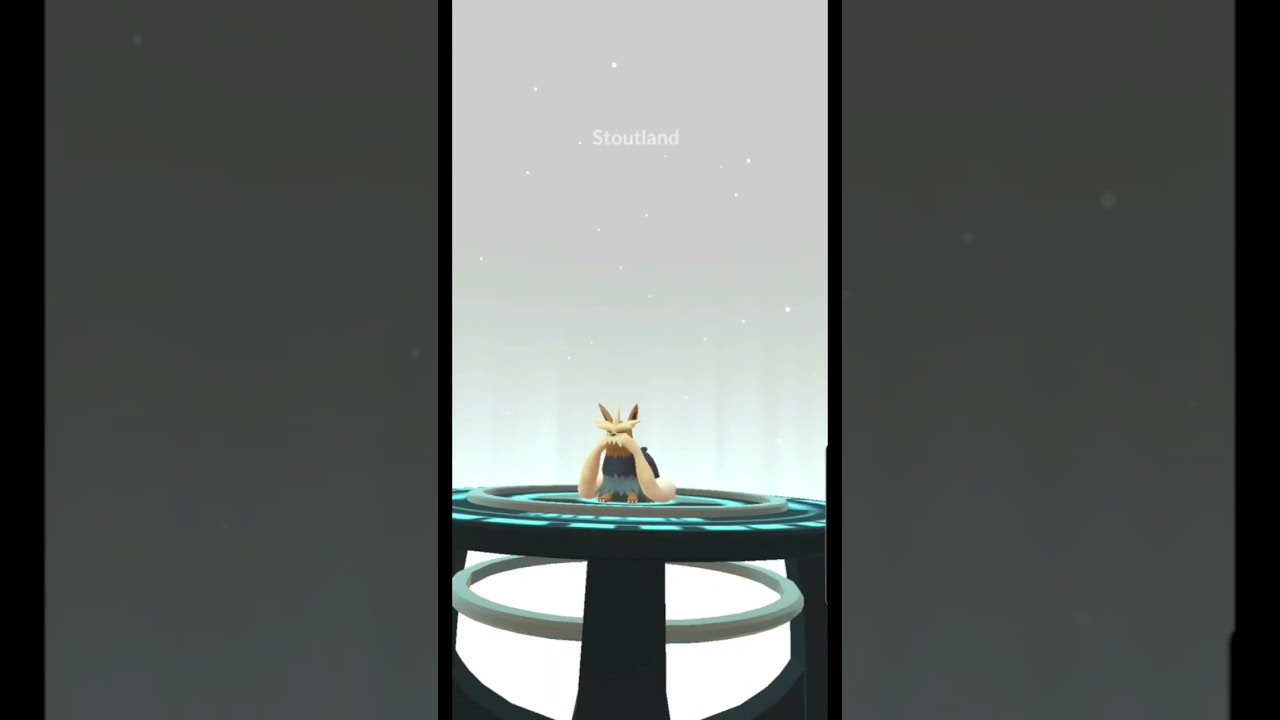XXL Herdier evolves into... #Stoutland #pokemongo #pokemon #normal #herdier #unova #gen5 #evolve #us