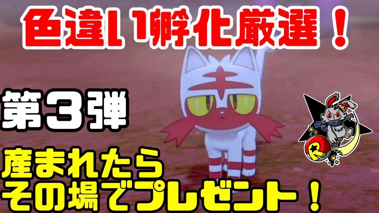 【ポケモン剣盾】色違いプレゼント！第３弾！色違いニャビー！