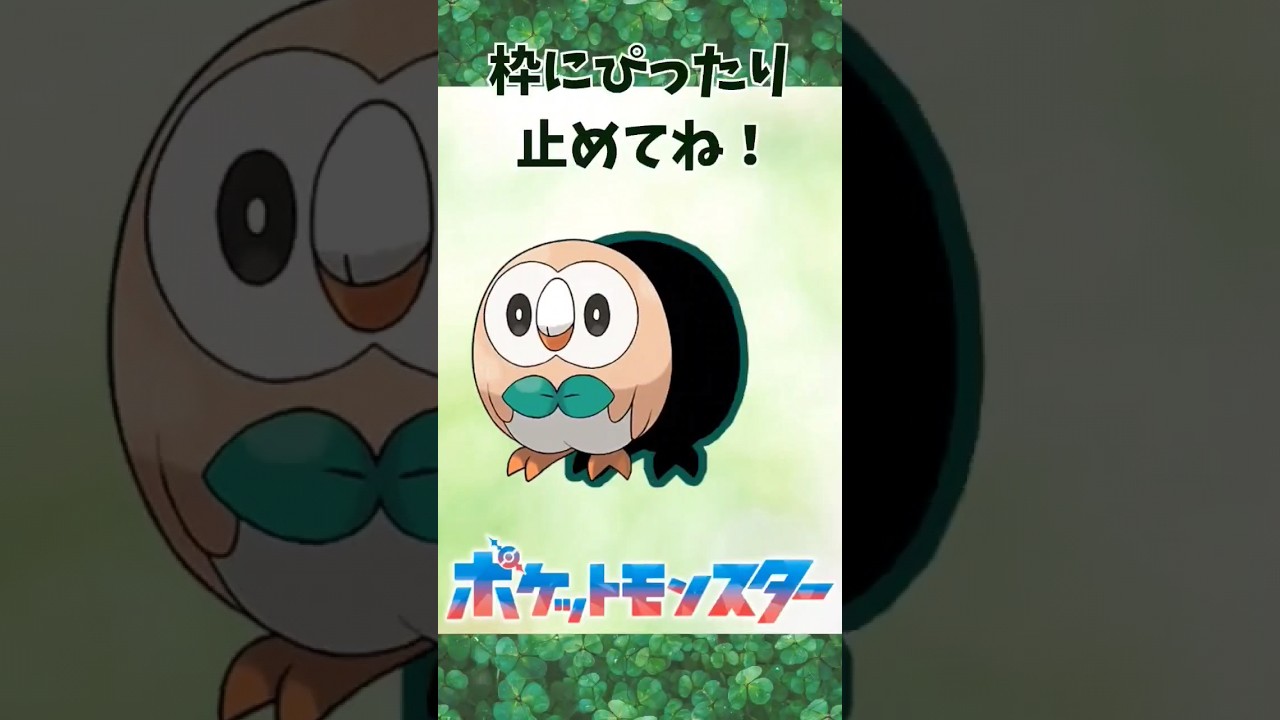 ぴったり止めると‥？ ぴったりゲーム #モクロー #ポケモン #Pokemon #shorts