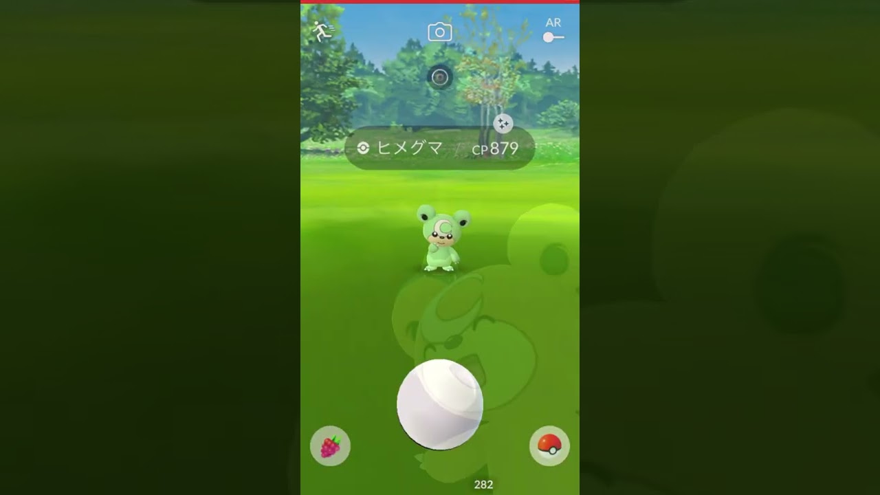 ヒメグマDAY【ポケモンGO】#shorts #shinypokemon
