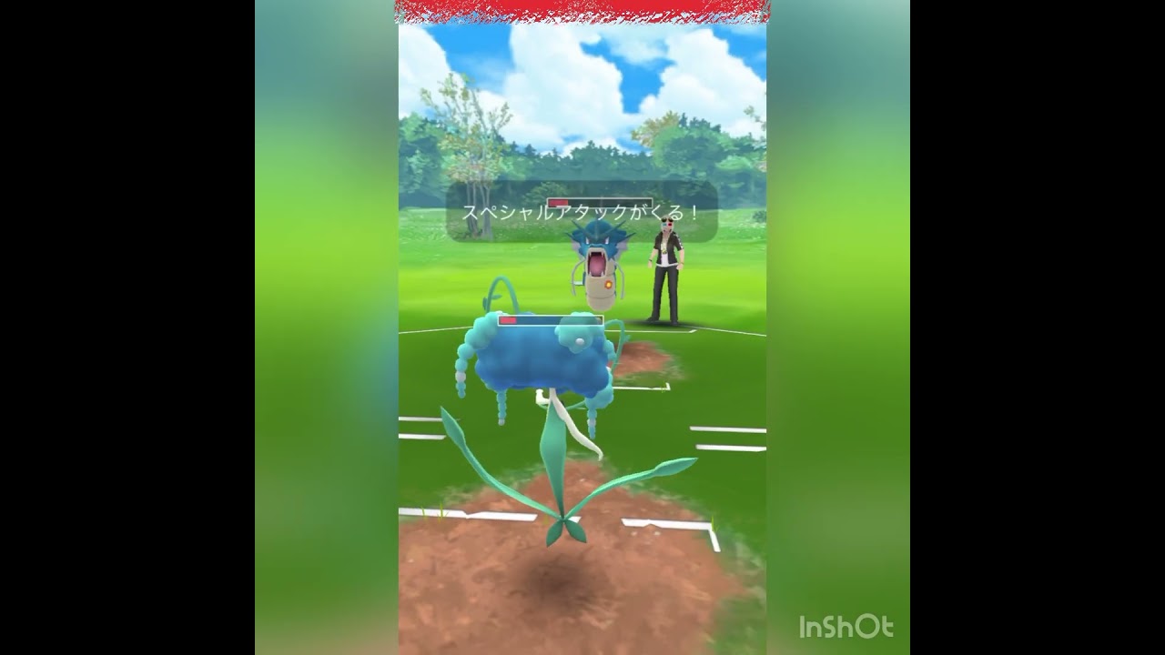 時代はメタグロス‼️