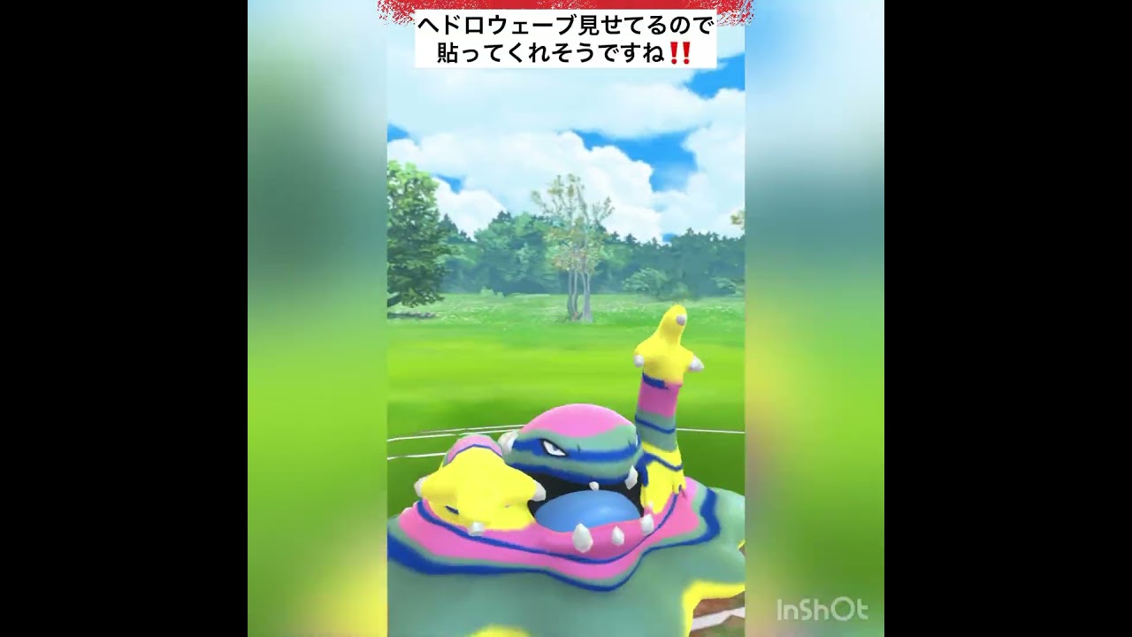 エースはアクジキング‼️