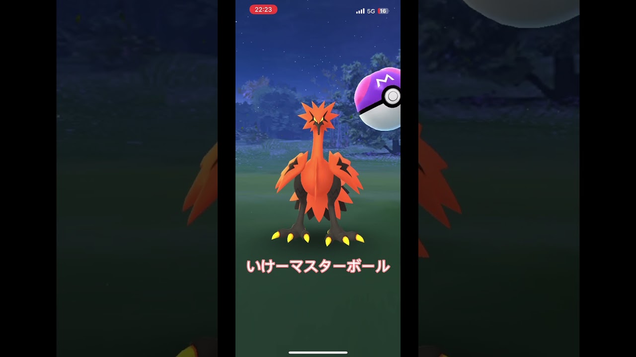 ガラルサンダーが出た！#ポケモンGO#ポケモン#ガラルサンダー#マスターボール