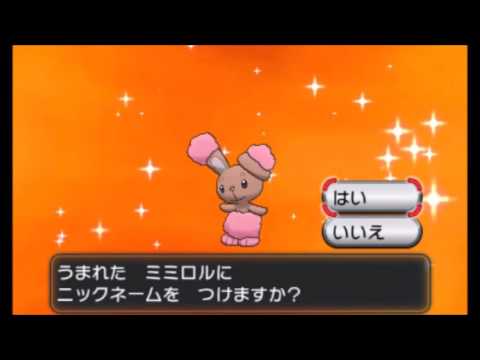 【国際孵化】色違いミミロルの孵化～最終進化まで