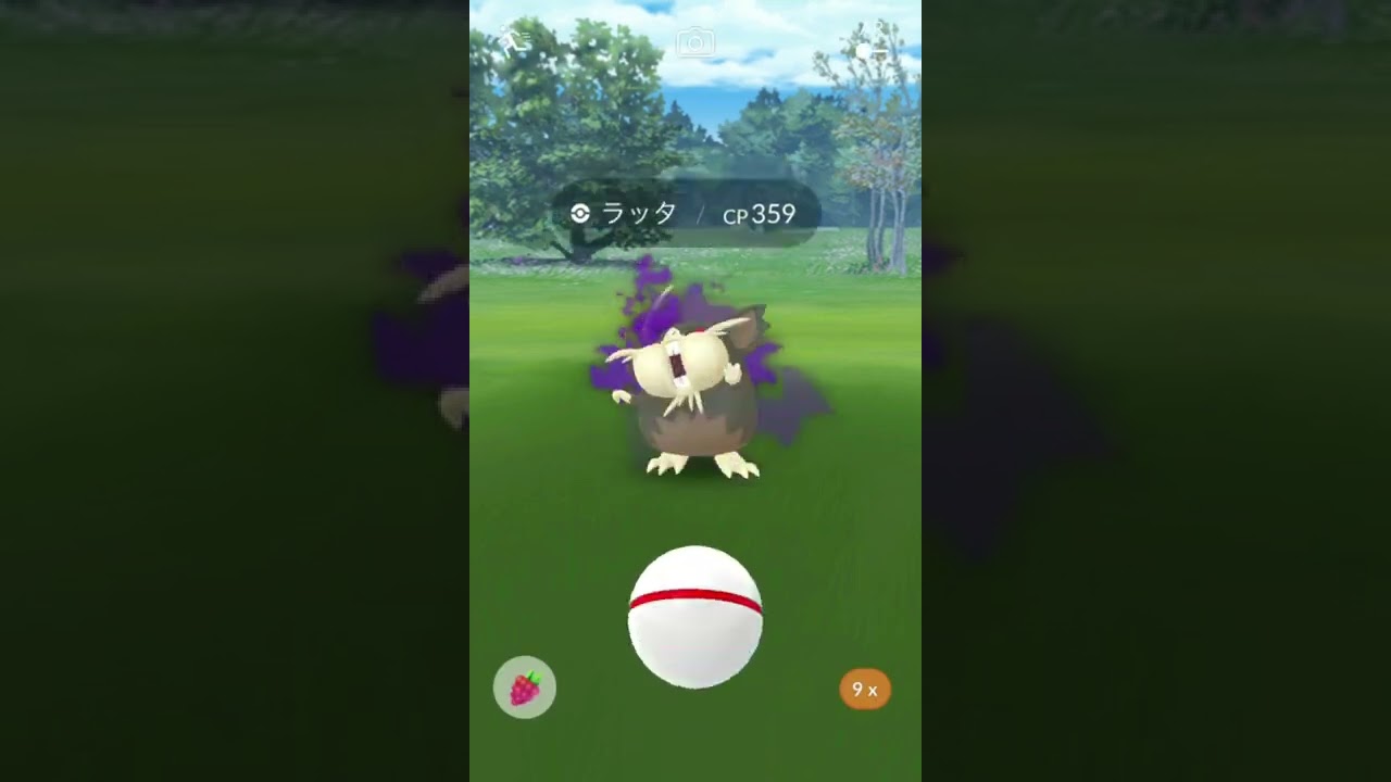 シャドウ アローラ ラッタ