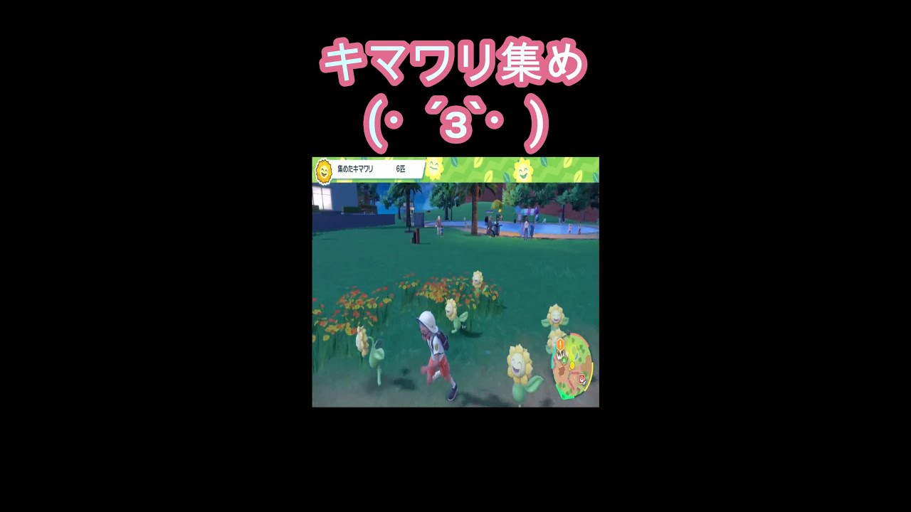 ジムテスト！キマワリ集め(*´з`)【ポケモンSV】#shorts