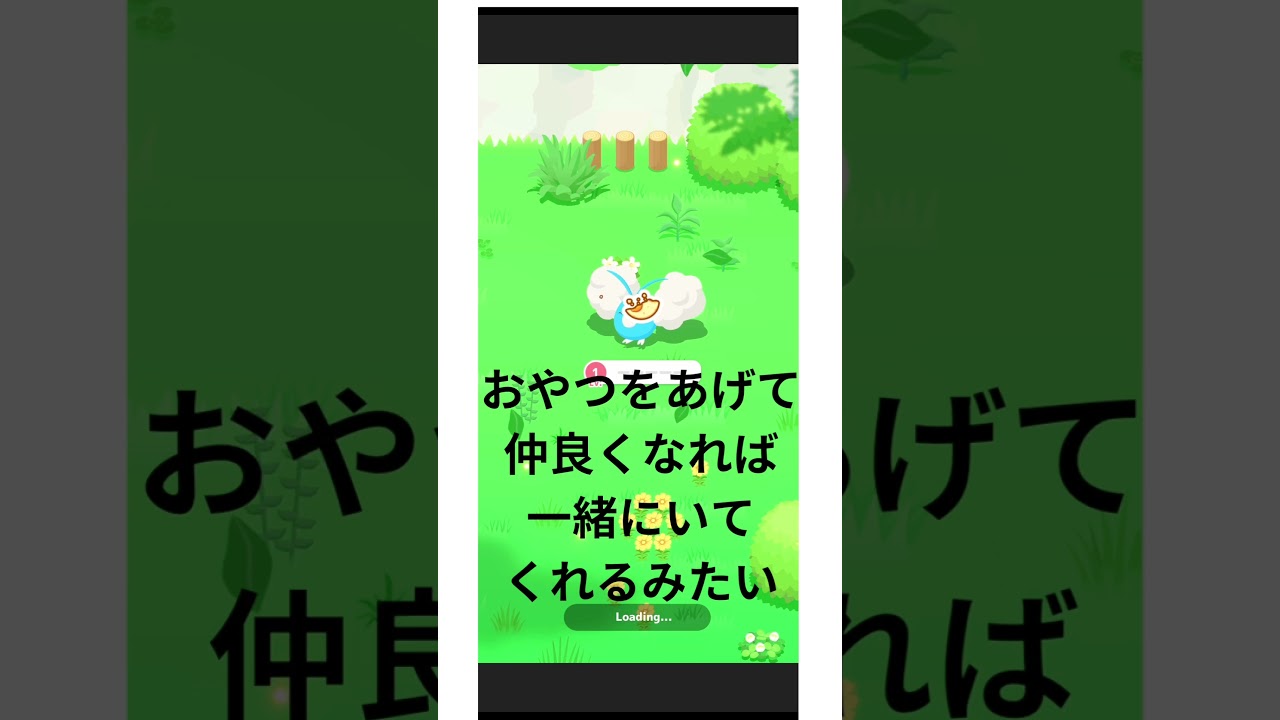 チルット仲間になりました