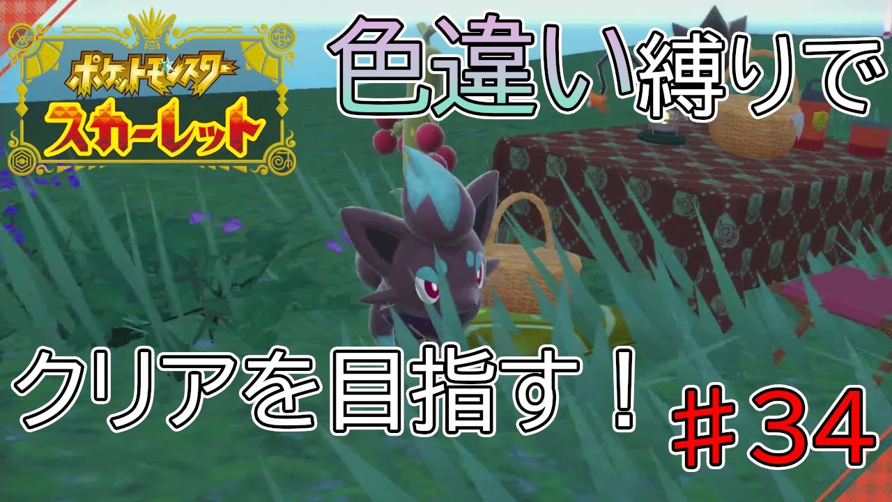 【色違い縛り】メタモンの色違いが欲しい　♯34【ポケモンSV】
